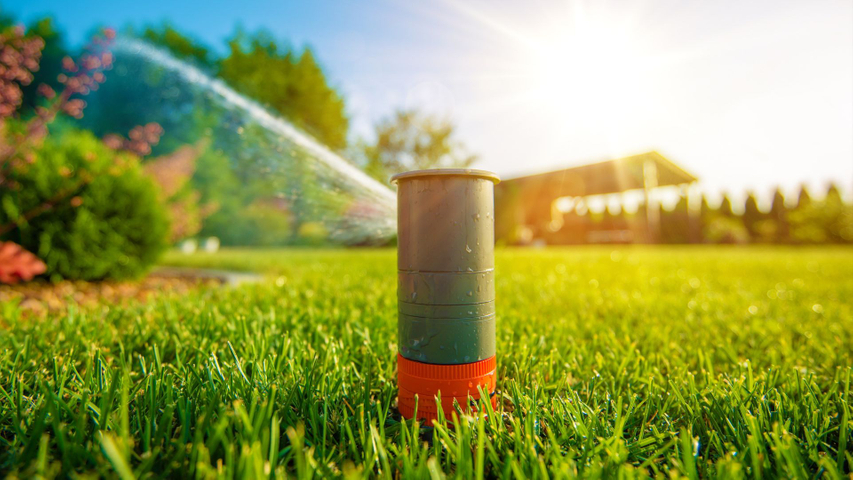 Sprinkler head in backyard