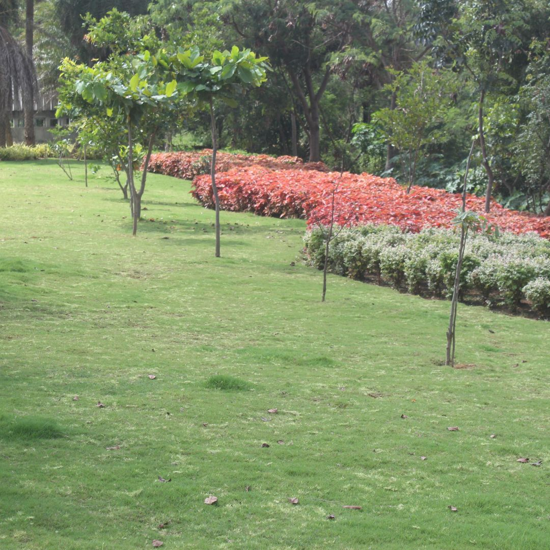 gallery8.jpg