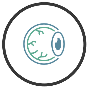 icon - optical 2.png