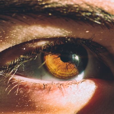 image - services - cataracts 2.jpg