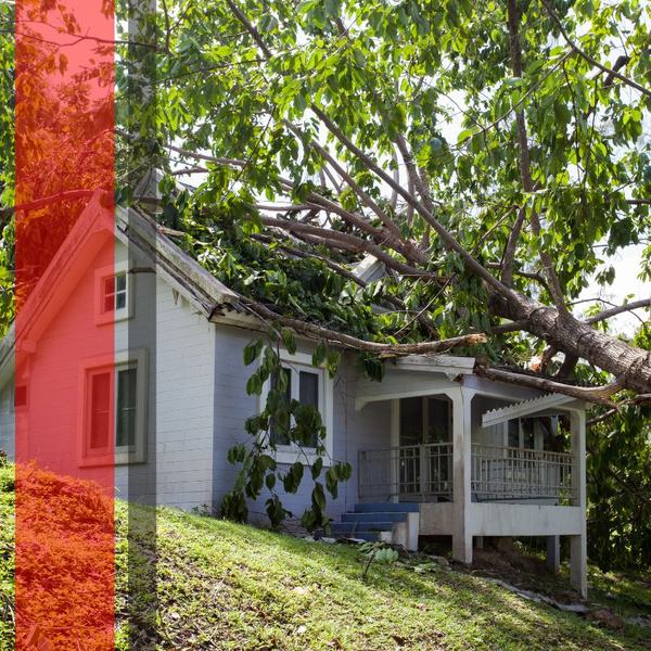 Storm Damage Roofing & Insurance Claims.jpg