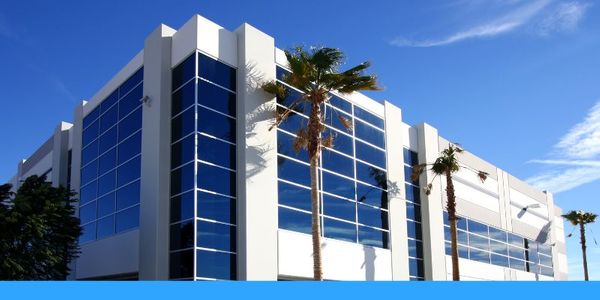commercial building behind a palm tree