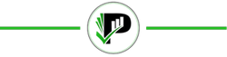 Break Line.png
