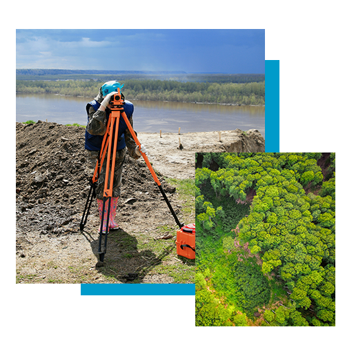 surveyor and natural tree space