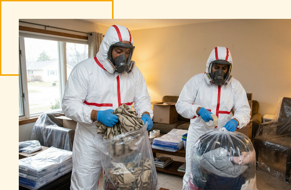 bed bugs 2.png