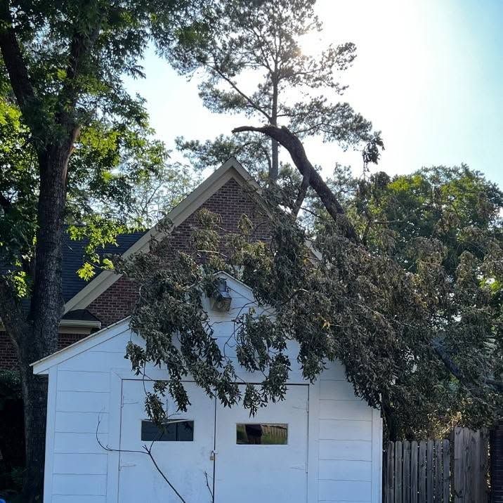 storm damage 