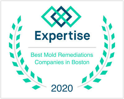 ma_boston_mold-remediation_2020.png