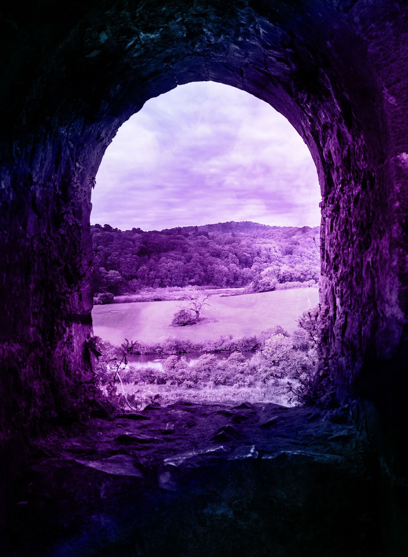 view from inside a cave at open forestland