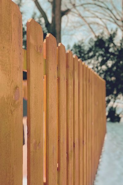 cedar fencing