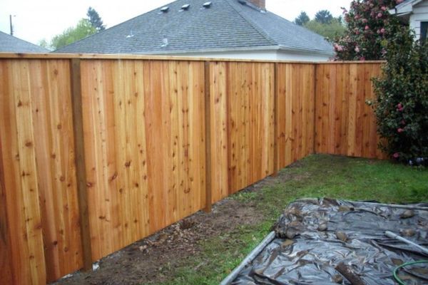 cedar wood fence in Broomfield