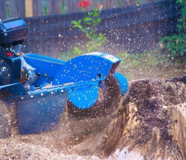 stump grinding