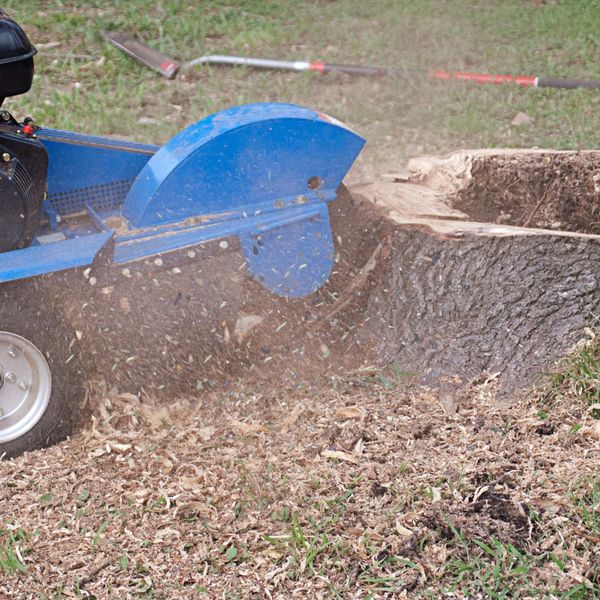 stump grinding