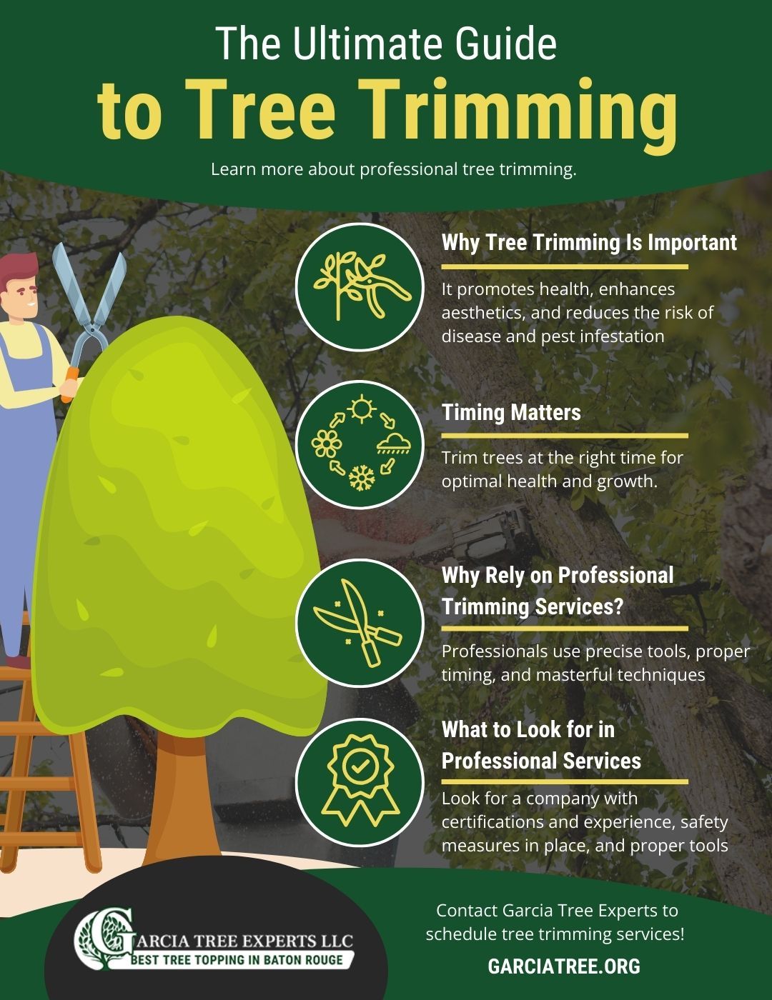 M35184  - Information Design - Infographic Template - The Ultimate Guide to Tree Trimming.jpg