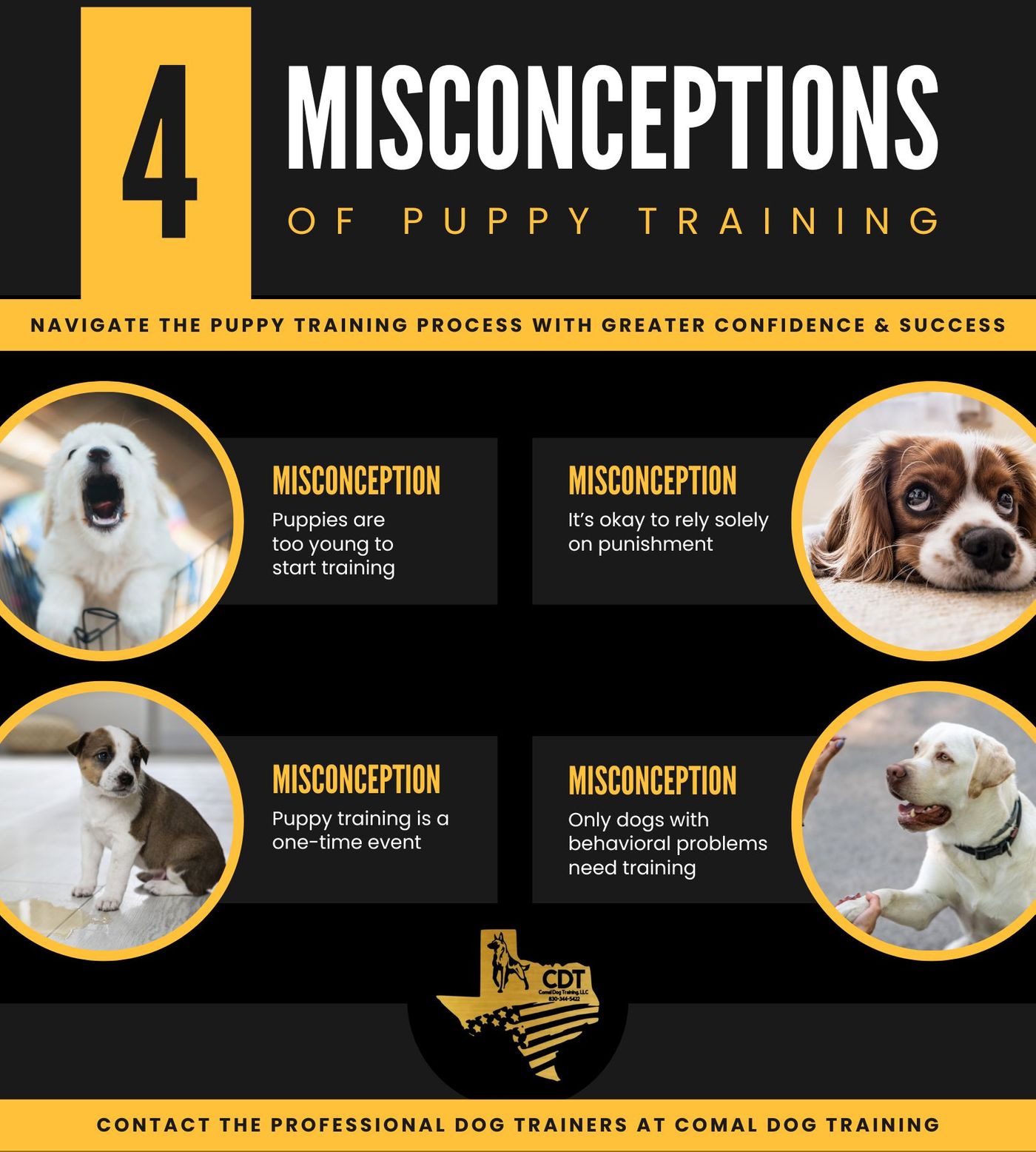 M38599 - IG - 4 Misconceptions Of Puppy Training (1).jpg