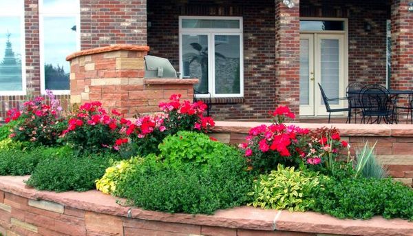 Enhancing Curb Appeal and Property Value
