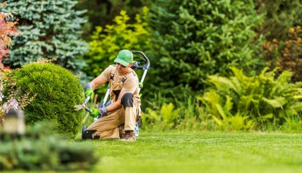 Landscaping Services