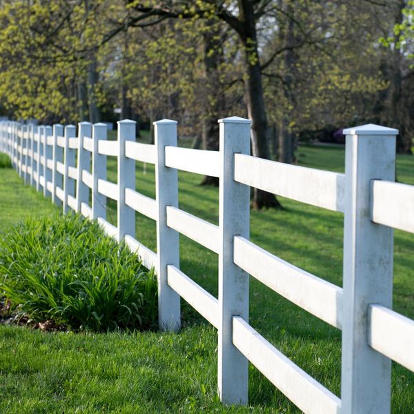 The Value of Good Fencing.jpg