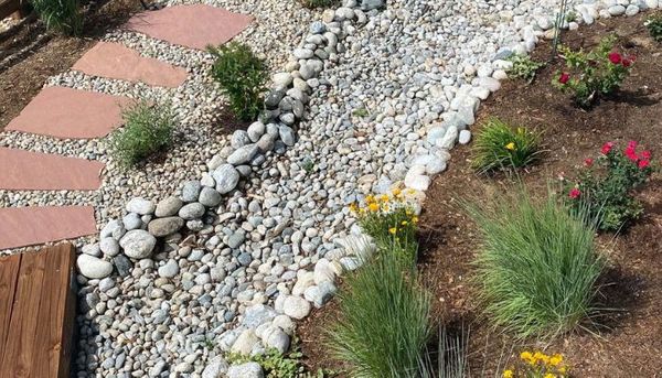 Xeriscaping Solutions