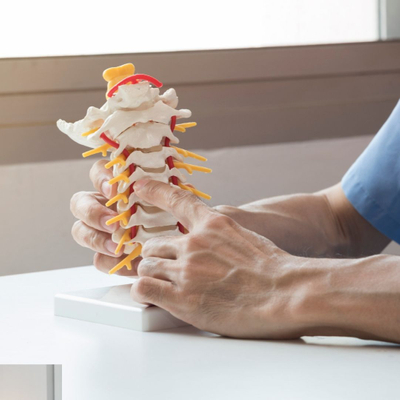 Doctor points to areas on a model of a spine