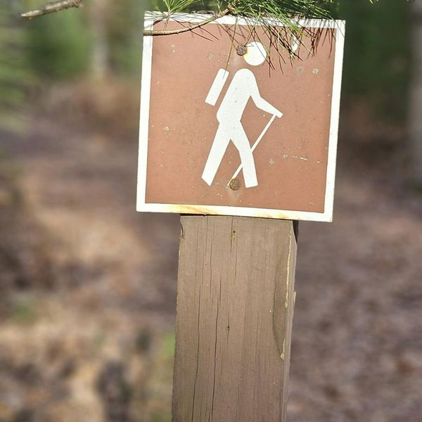 Navigating Nature - Image 2.jpg