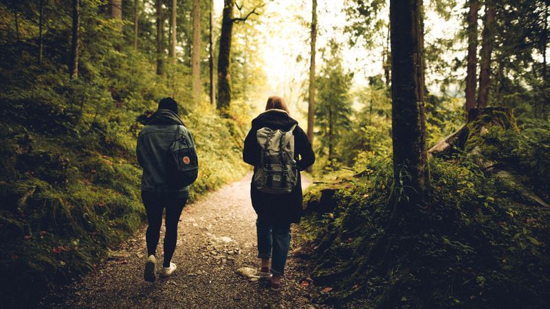 Navigating Nature - Featured Image.jpg