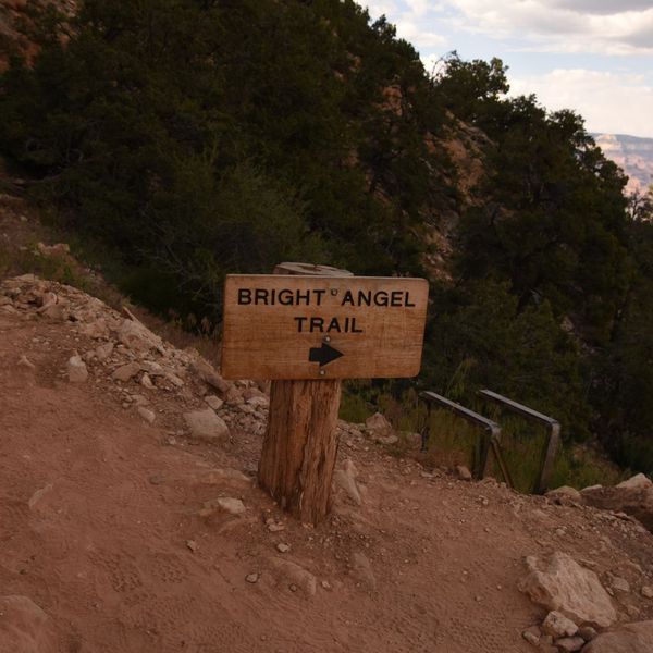 Navigating Nature - Image 3.jpg