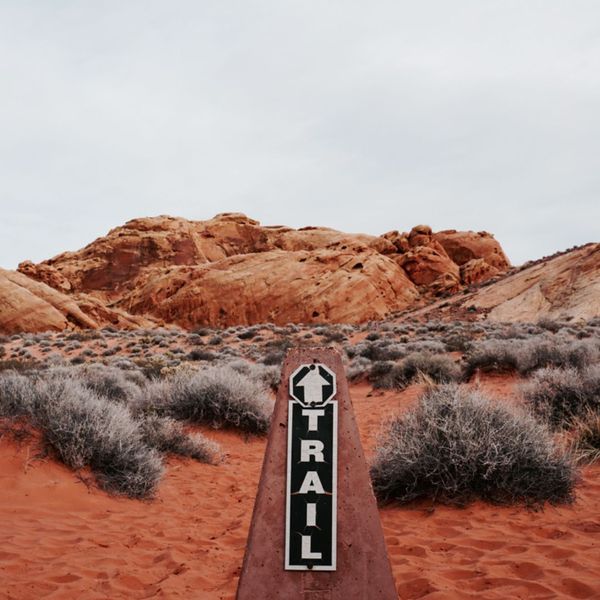 Navigating Nature - Image 1.jpg
