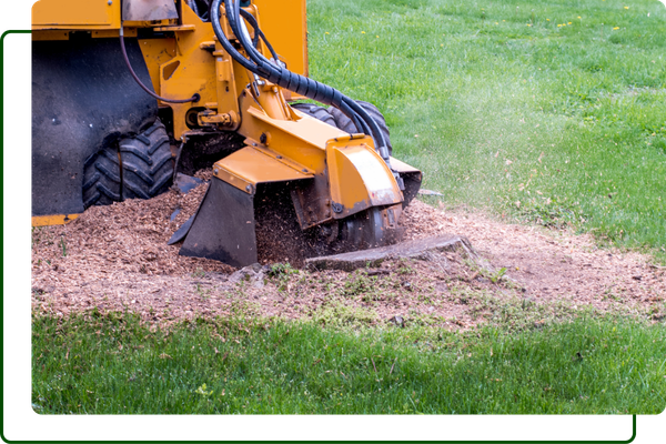 Stump Removal.png