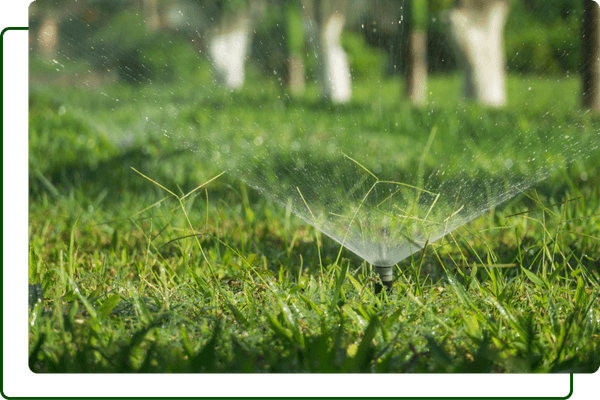 sprinkler heads spraying water