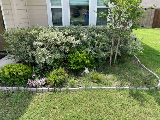 Flower Bed installation