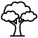 Tree Trimming.jpg