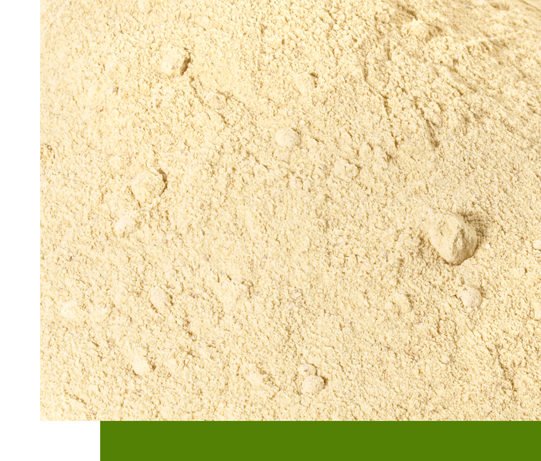 close-up of lecithin powder