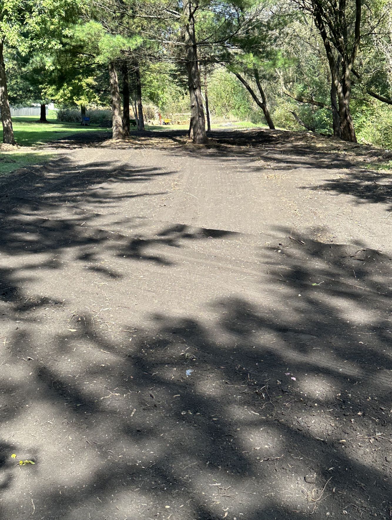 land clearing pic 4.jpeg