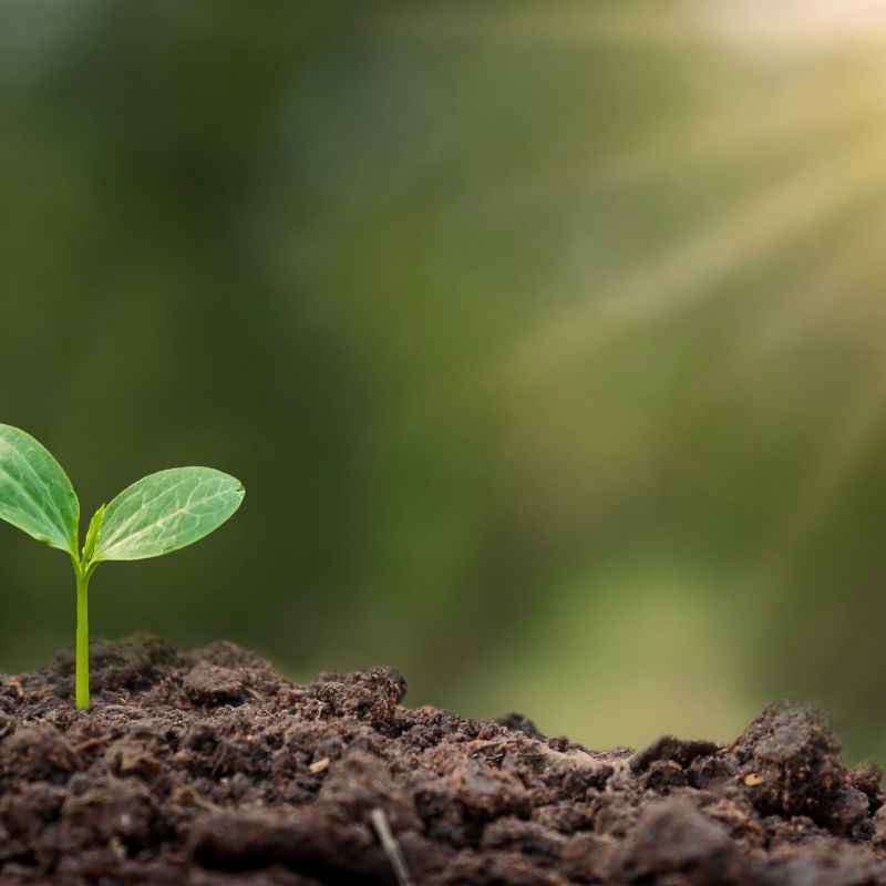 Soil Conditioning in Elgin, IL Soil Conditioning Elgin