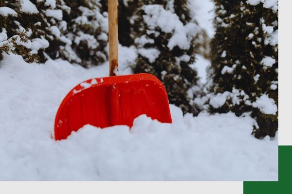Snow Removal 5.jpg