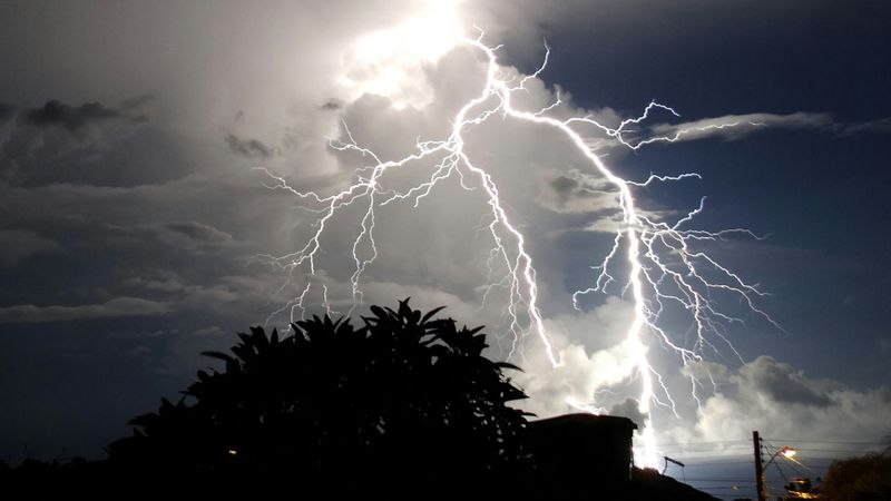 lightning above the trees 