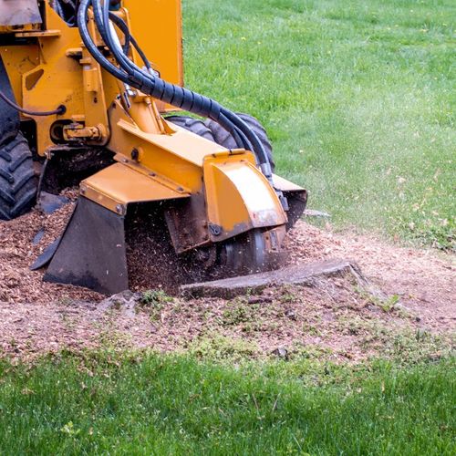 stump grinding services in Elgin, IL Elgin Stump Grinding