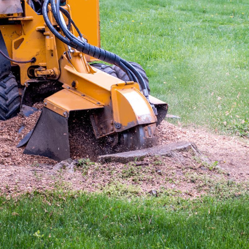 stump grinding services in Elgin, IL Elgin Stump Grinding