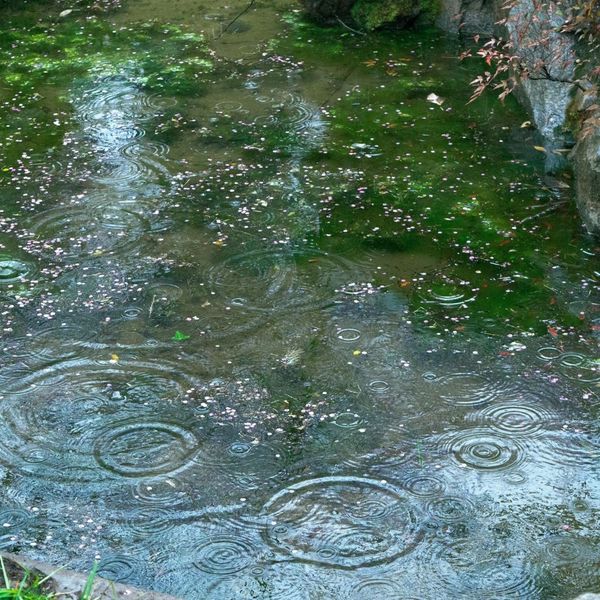 standing water during heavy rain