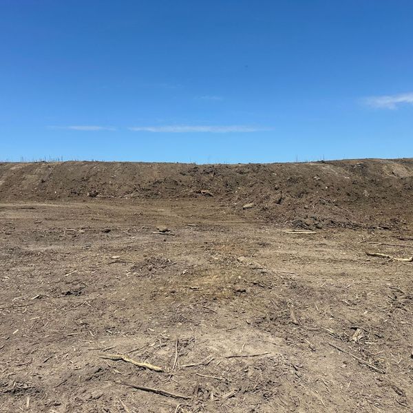 land clearing1.jpg