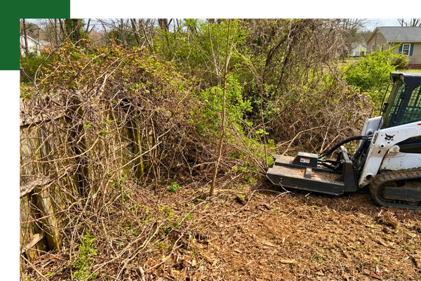 A Titon Services skid-steer with a brush cutter attachment clearing thick vines and overgrown vegetation near a wooden fence on a residential property.