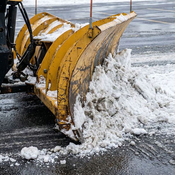 Blog 1 ImagesArtboard 1.jpg