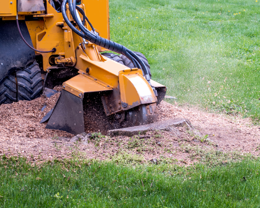 Stump Grinding