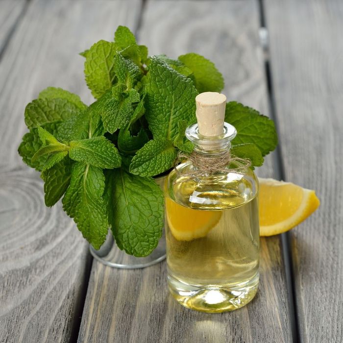 peppermint essential oil