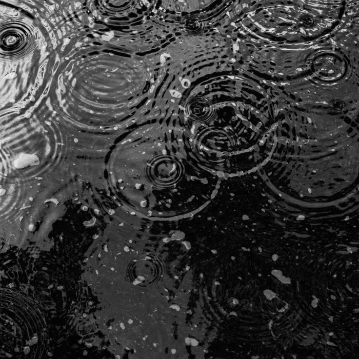 raindrops on the ground