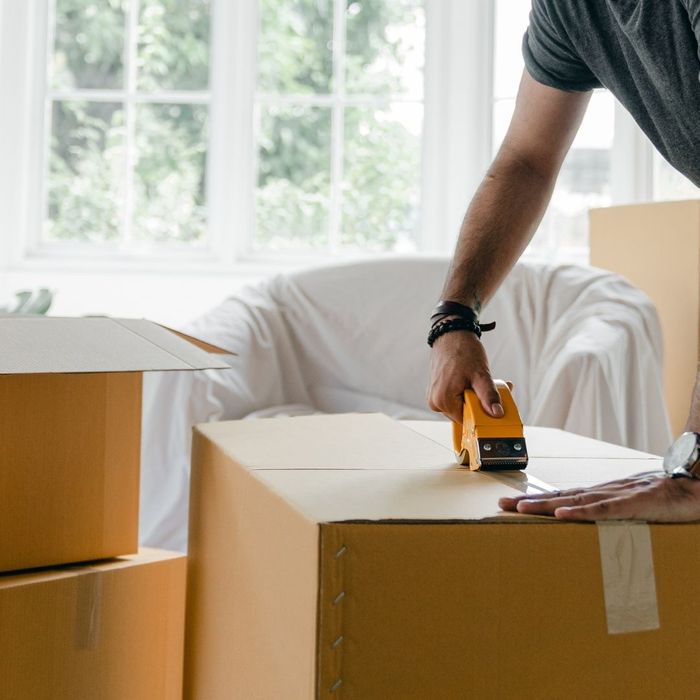 person packing boxes to move person packing boxes to move