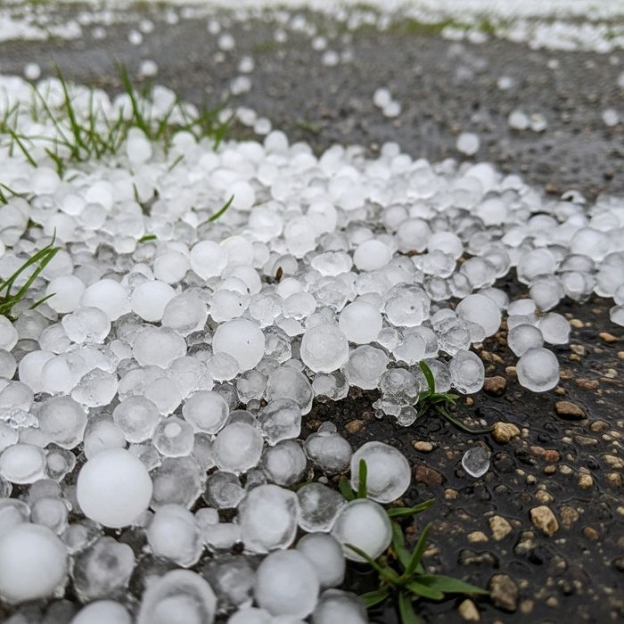 hail on the ground