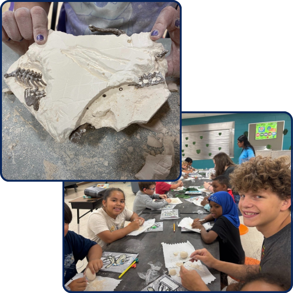 Jurassic Park activities