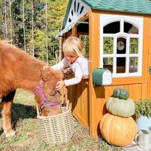 farm gallery (5).jpg