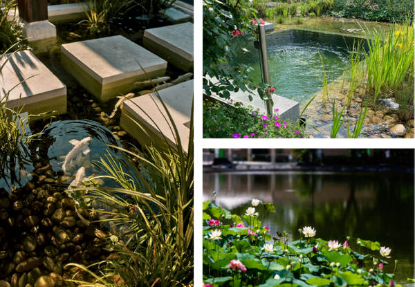 water feature projects including a modern pond with floating concrete stepping stones and koi fish, a natural stone waterfall, and a large scenic pond with blooming white and pink lotus flowers.